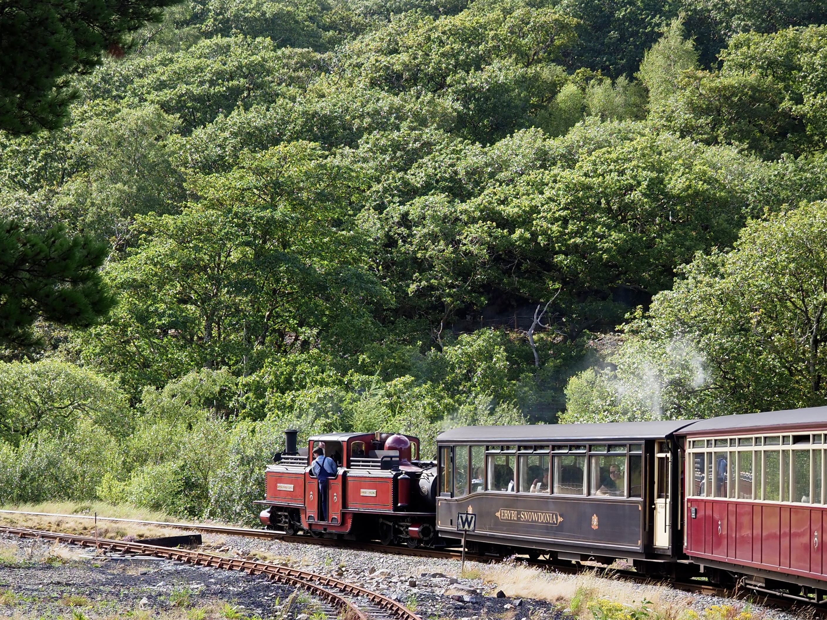 Dduallt Station